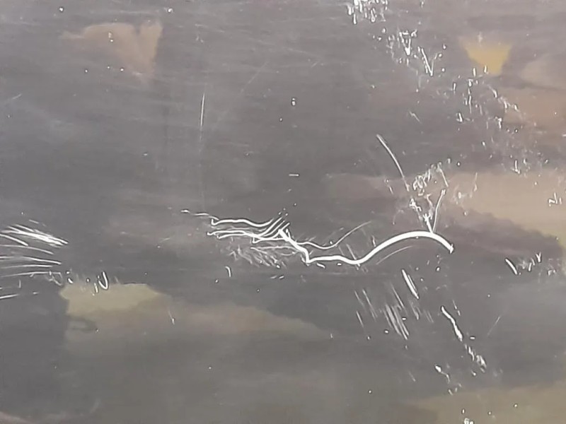 Porta ANT SX 41515A2A377 Bmw Serie 1 E81 Berlina 2005