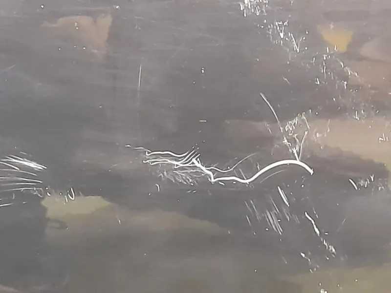 Porta ANT SX 41515A2A377 Bmw Serie 1 E81 Berlina 2005