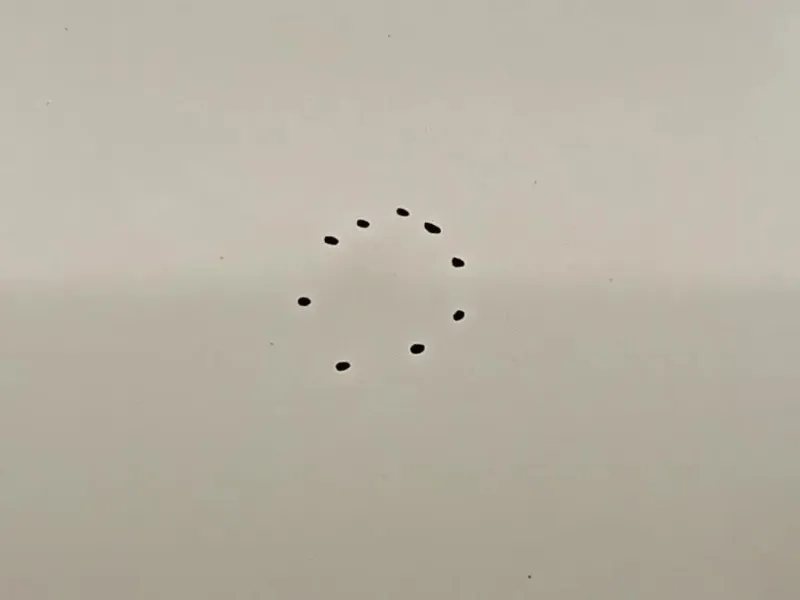 Porta ANT SX 95242604 Chevrolet Orlando 2011