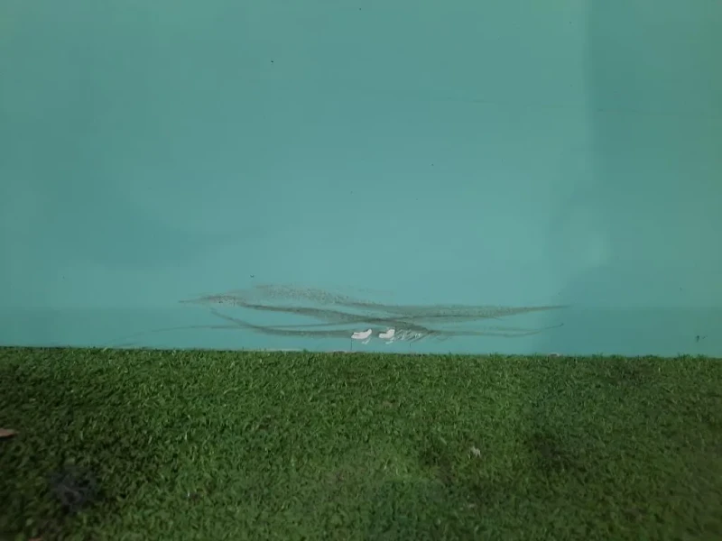 Porta ANT SX B000968580 Citroen C1 II 2014