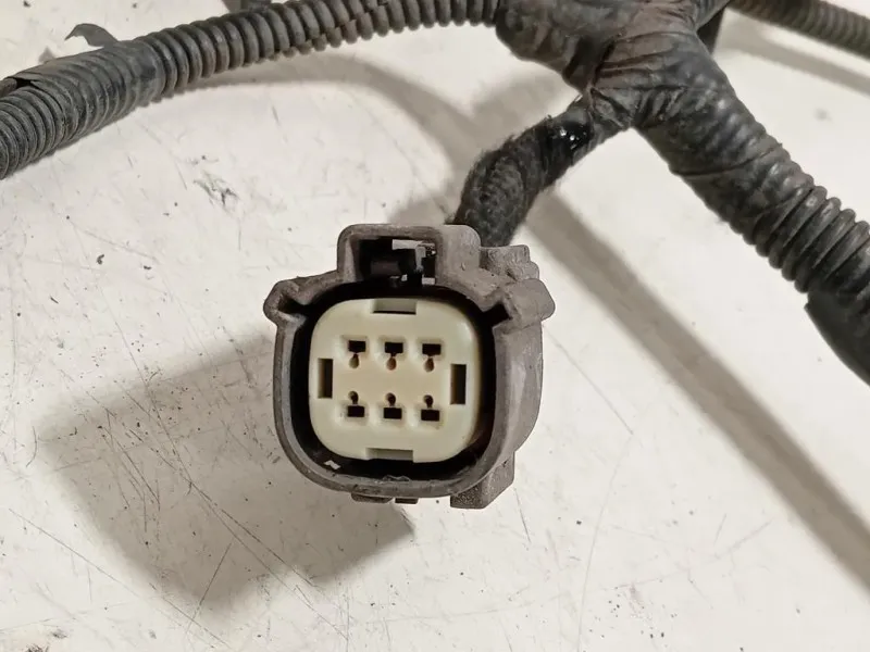 Cablaggio Paraurti POST Sensori DI Parcheggio CABLAGGIO PARAURTI POST SENSORI DI PARCHEGGIO Ford Transit Custom I 2018