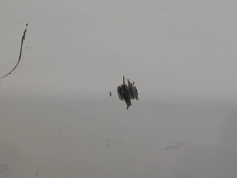 Porta ANT SX 52136363 ORIGINALE Fiat 500 C 2008