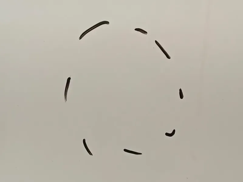 Porta ANT SX 51883217 Fiat 500L 2013