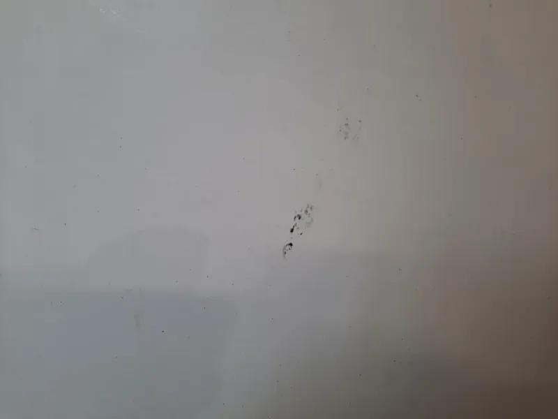 Porta ANT SX NUDA 51846217 Fiat Punto EVO 2010