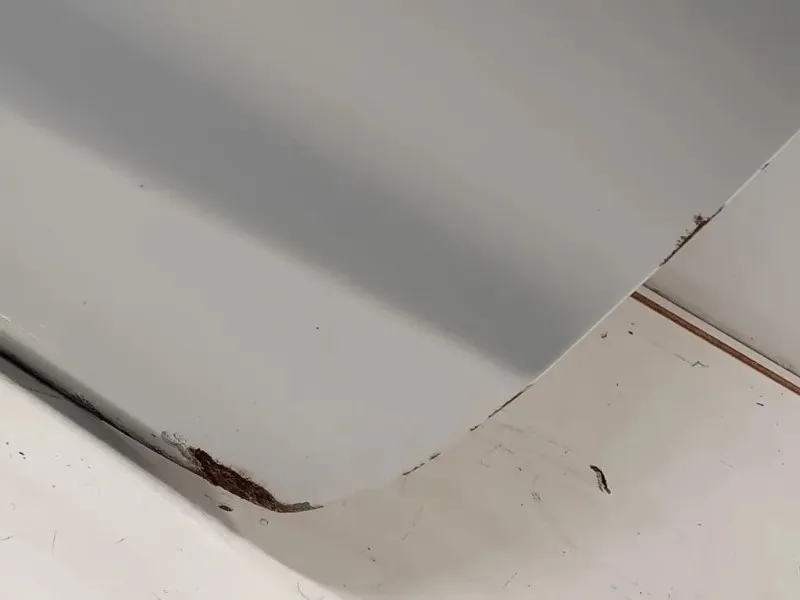 Porta ANT SX 1691261 Ford Fiesta VI 2008