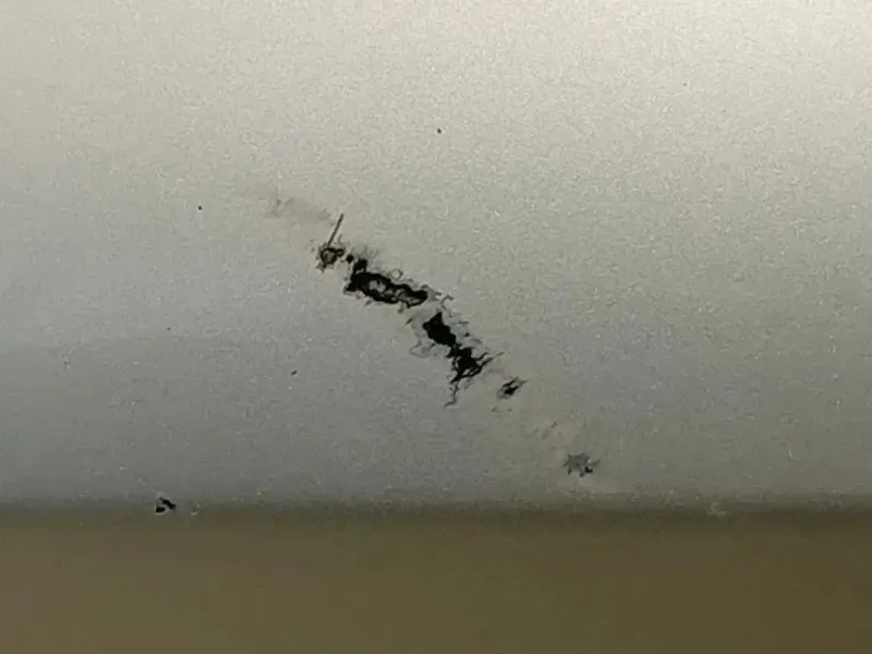 Porta ANT SX 1691261 Ford Fiesta VI 2008