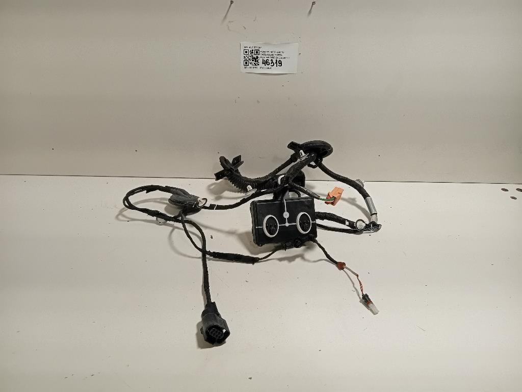 Cablaggio Porta Posteriore SX 4L0 971 841 Audi A6 4G2 2011