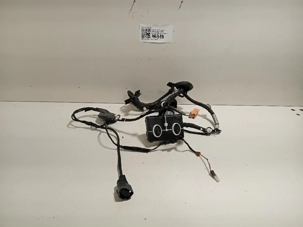 Cablaggio Porta Posteriore SX 4L0 971 841 Audi A6 4G2 2011