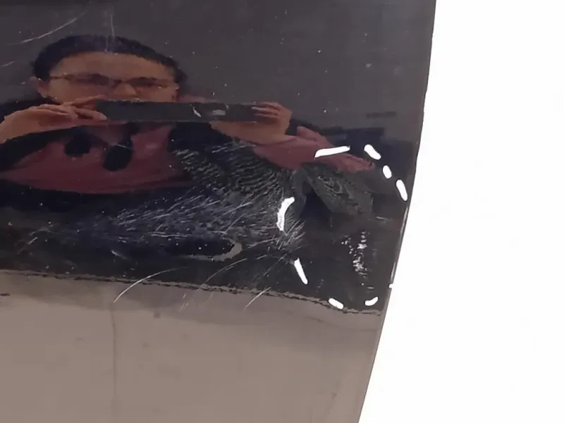 Porta ANT SX 2105369 Ford Fiesta VII 2017