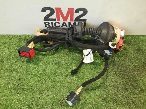 Cablaggio Porta Anteriore SX 9689003480 Citroen DS3 2010