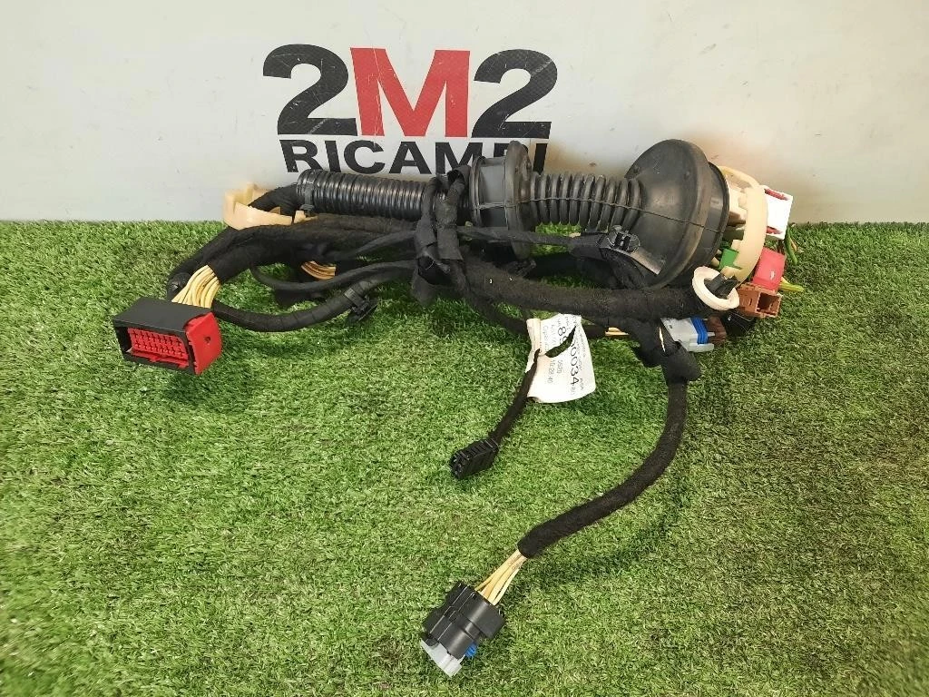 Cablaggio Porta Anteriore SX 9689003480 Citroen DS3 2010