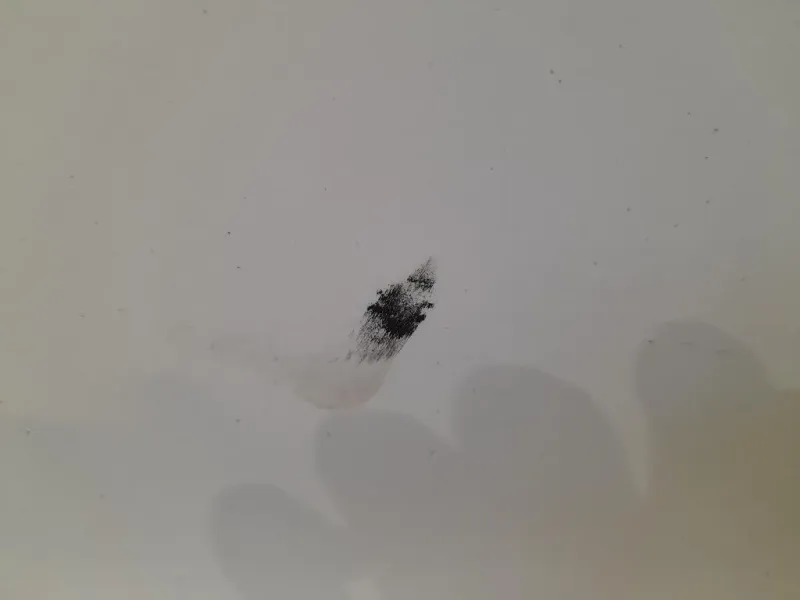 Porta ANT SX 2147846 Ford Focus IV 2011