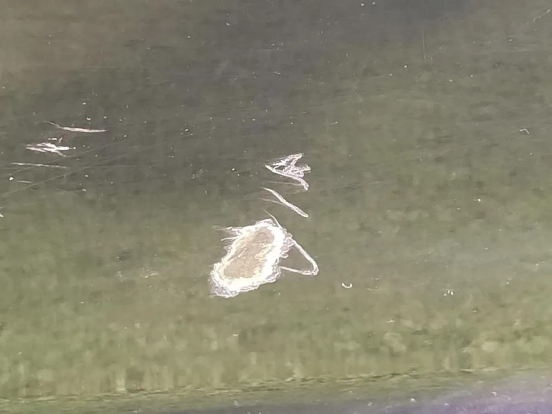 Porta ANT SX C2Z2061 Jaguar XF I 2008