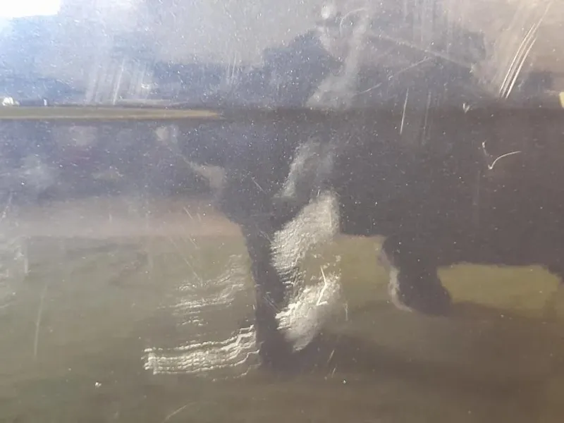 Porta ANT SX C2Z2061 Jaguar XF I 2011