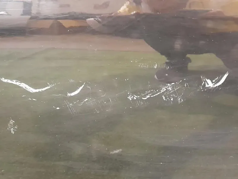 Porta ANT SX LR016463 Land Rover Discovery IV 2010