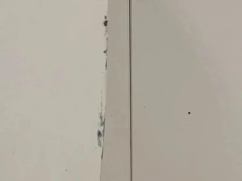 Porta ANT SX 41009628767 Mini MINI Cooper R56 2007