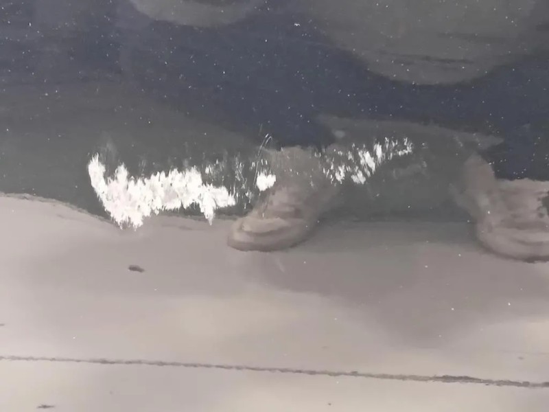 Porta ANT SX 41009628767 Mini MINI Cooper R57 Cabrio 2007