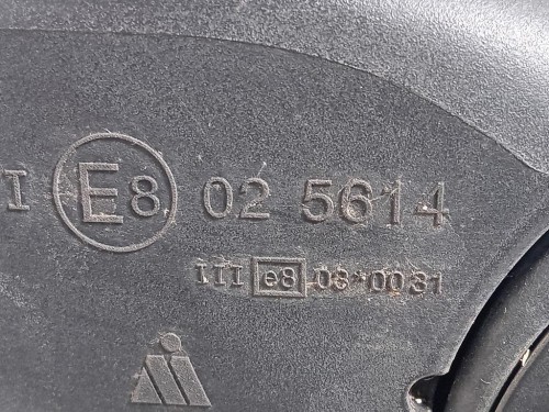 Retrovisore Esterno ANT SX