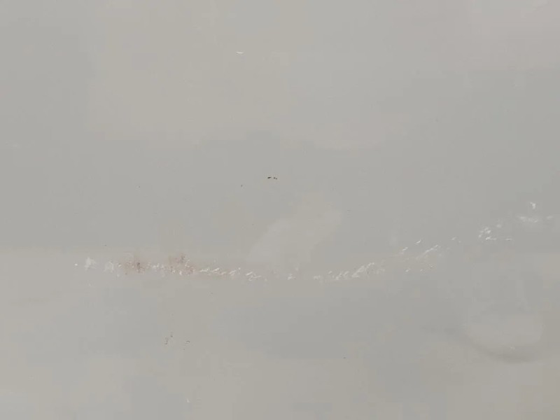 Porta ANT SX PORTA ANT SX Skoda Fabia PJ3 2021