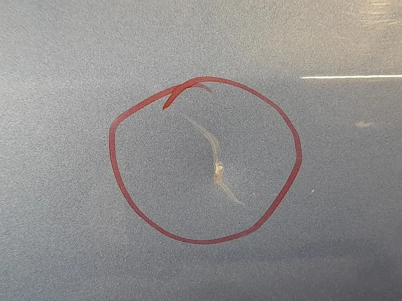 Porta ANT SX 6700247071 Toyota Prius II 2009