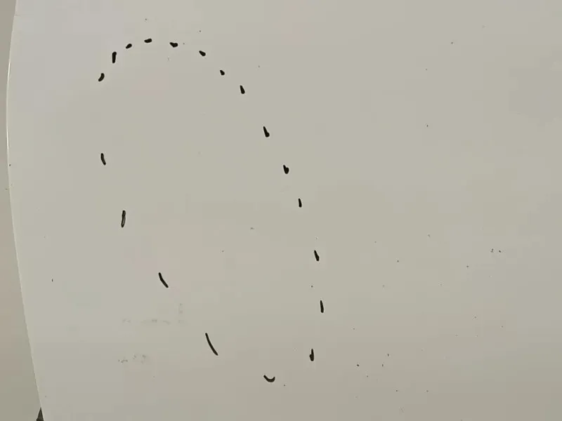 Porta ANT SX 670020D500 Toyota Yaris IV 2012