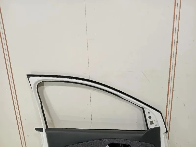 Porta ANT SX PORTA ANT SX Volkswagen POLO VI 2009