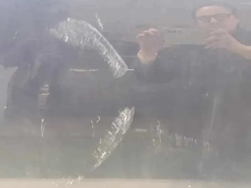 Porta ANT SX 7N0831055AF Volkswagen Sharan IV 2015