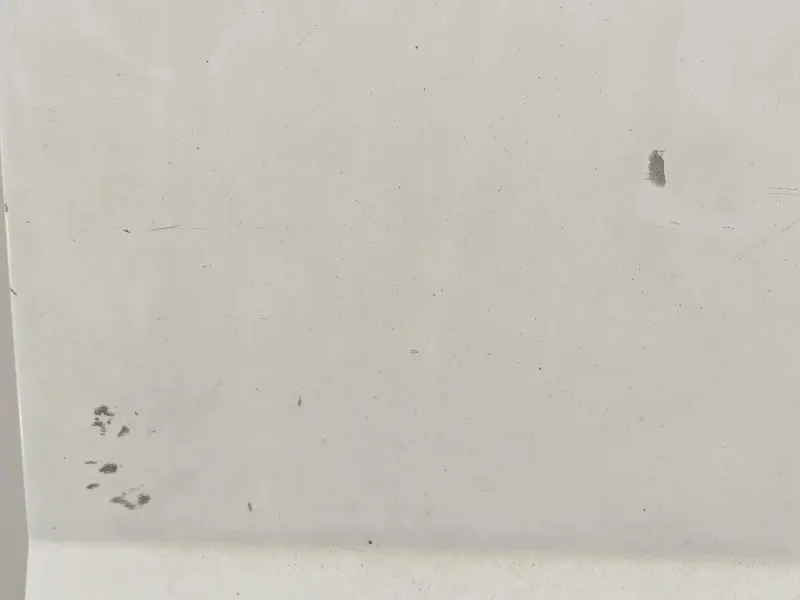 Porta DI Carico POST DX PORTA DI CARICO POST DX Citroen Jumper III 2014