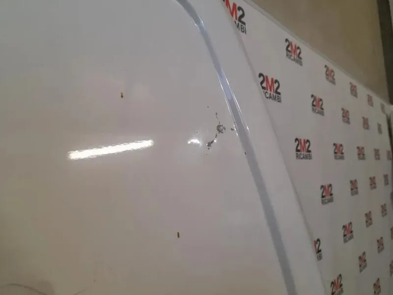 Porta DI Carico POST DX 9811894980 Peugeot Expert III 2016