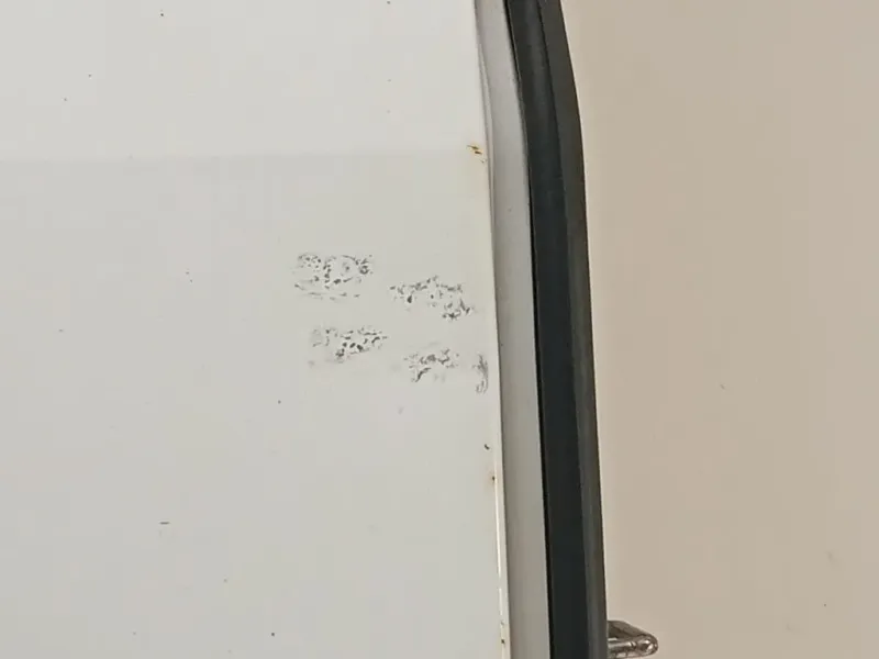 Porta DI Carico POST SX PORTA DI CARICO POST SX Ford Transit Custom I 2013