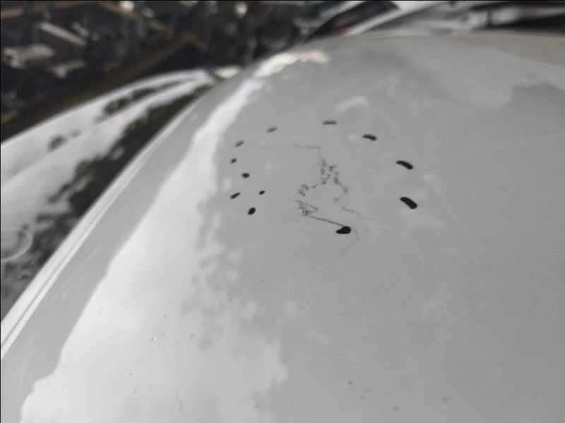 Cofano ANT 8X0823029 Audi A1 8XA Sportback 2012