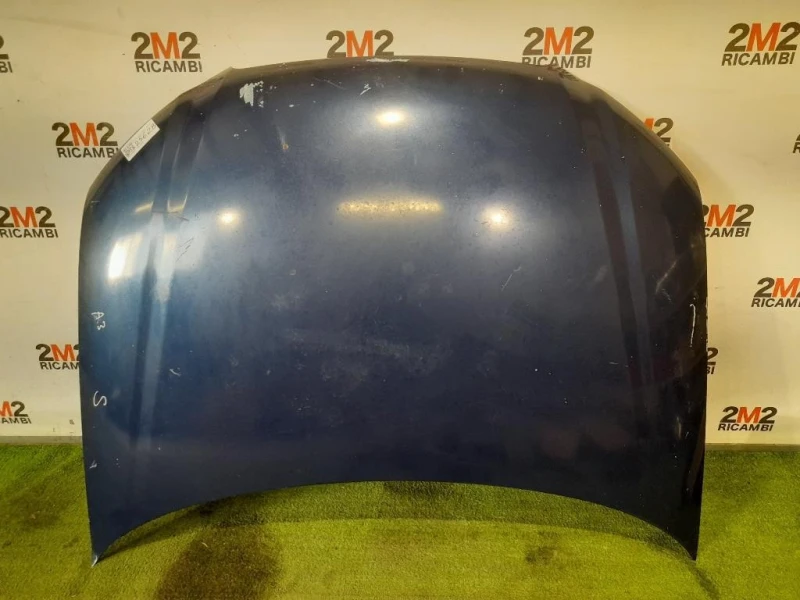 Cofano ANT 8P0823029E Audi A3 8P1 2008