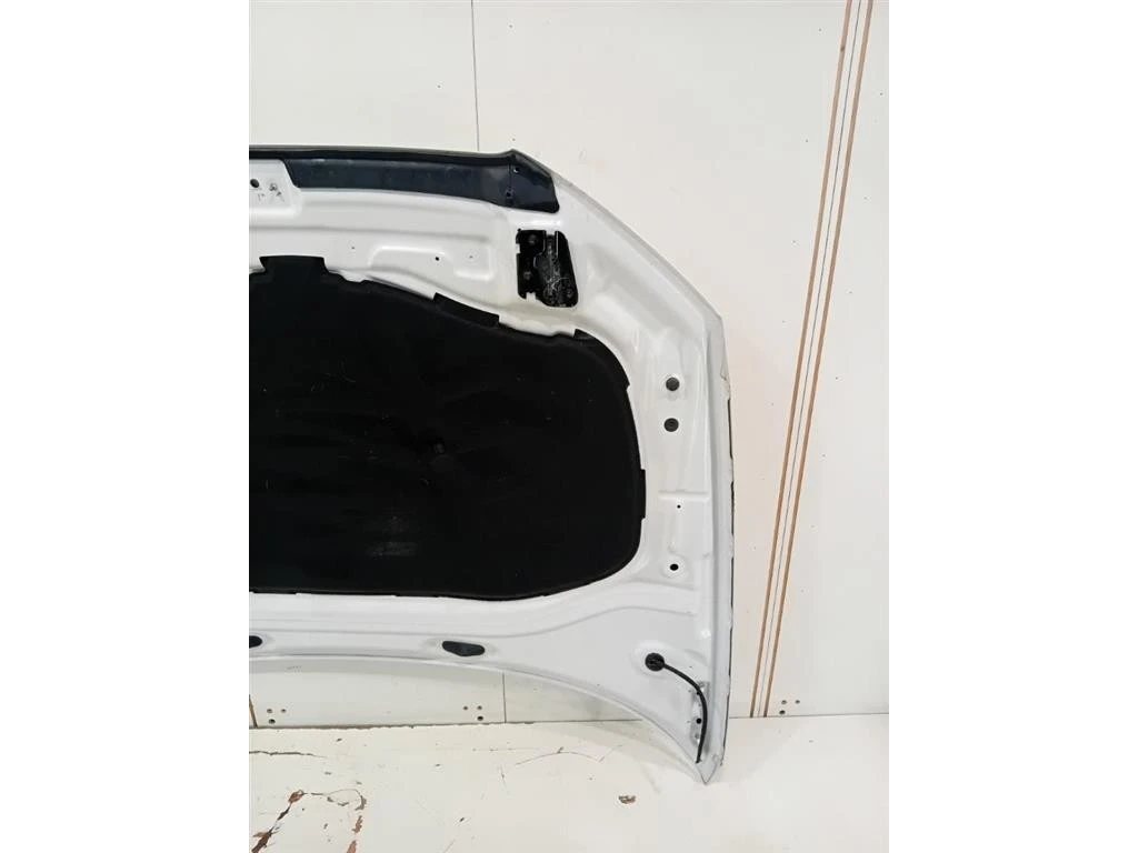 Cofano ANT 8V0823029D Audi A3 8VA Sportback 2012