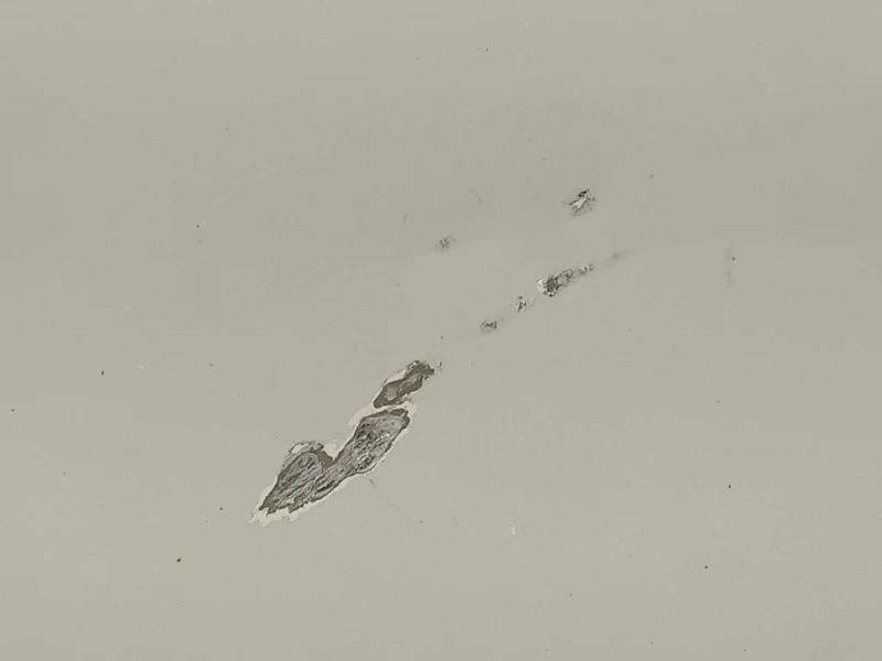 Cofano ANT 8V0823029D Audi A3 8VA Sportback 2012