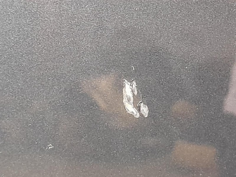 Cofano ANT Audi A4 8K2 2008