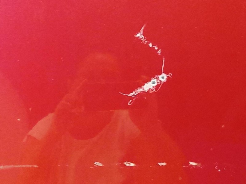 Cofano ANT 8K0823029D Audi A4 8K2 2008