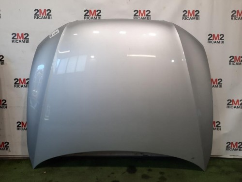 Cofano ANT 8K0010515P Audi A5 8T3 2008