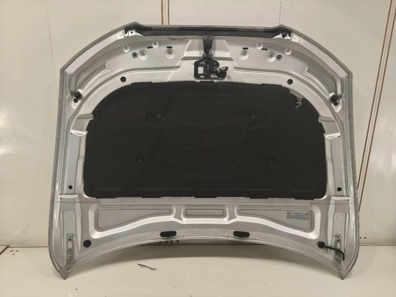 Cofano ANT 8T0823029H Audi A5 8TA Sportback 2012