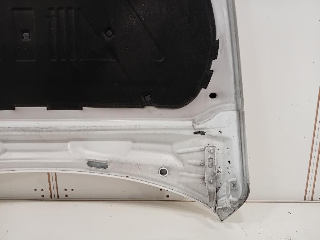 Cofano ANT 8R0823029H Audi Q5 8RB 2012