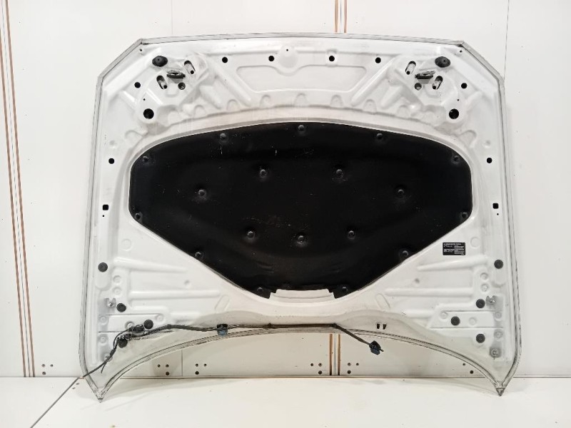 Cofano ANT 41007290942 Bmw Serie 1 F20 Berlina 2012