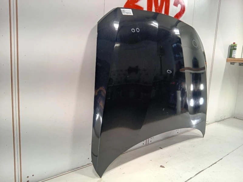 Cofano ANT 41007290942 Bmw Serie 1 F20 Berlina 2012