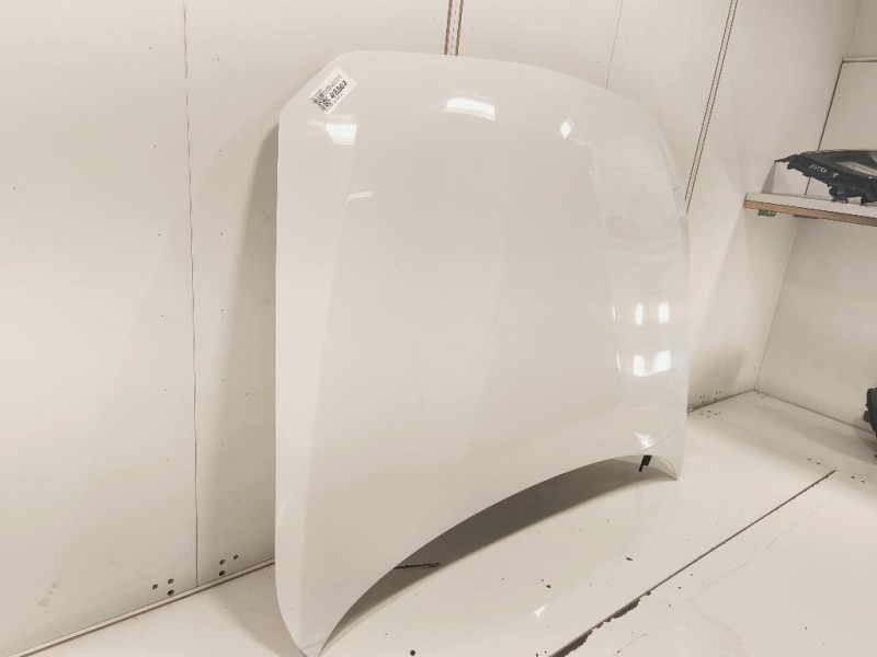 Cofano ANT 41007290942 Bmw Serie 1 F20 Berlina 2015