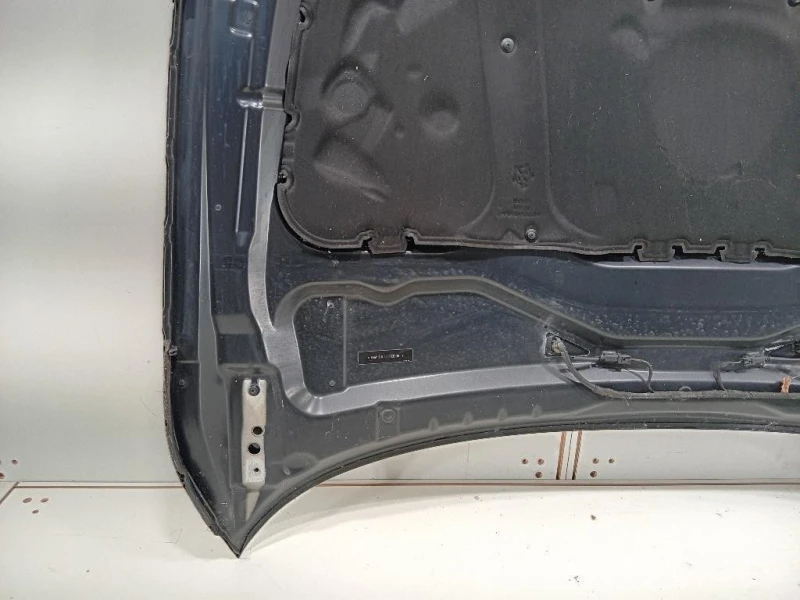 Cofano ANT 41617111385 Bmw Serie 5 E60 Berlina 2004