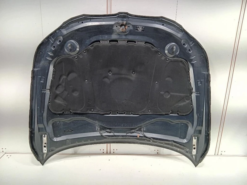 Cofano ANT 41617111385 Bmw Serie 5 E60 Berlina 2004