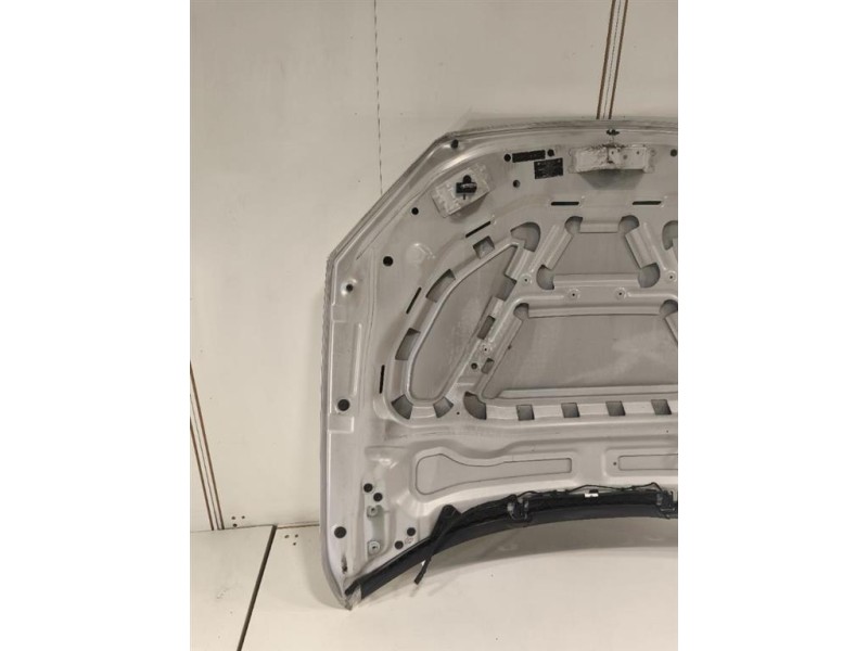 Cofano ANT 41002993151 Bmw X1 E84 2010