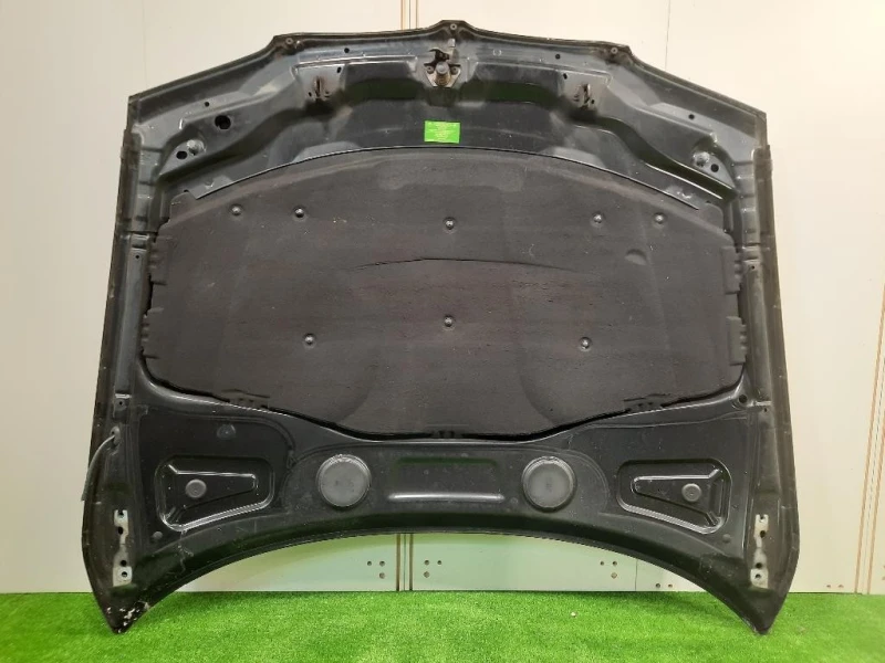 Cofano ANT 6 917 364 Bmw X3 E83 2004