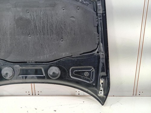 Cofano ANT 41003449411 Bmw X3 E83 2004