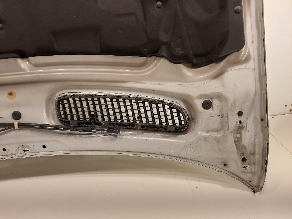 Cofano ANT 41617121102 Bmw X5 E53 2000