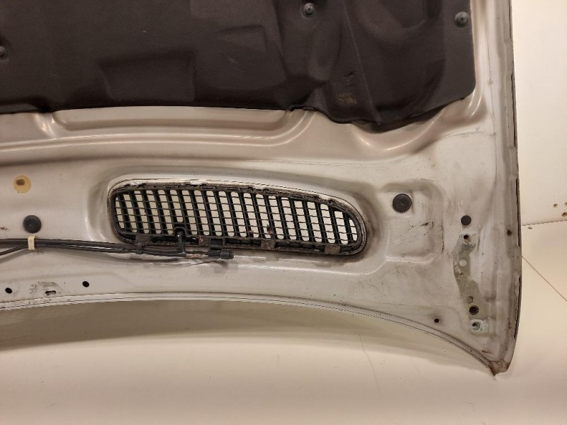 Cofano ANT 41617121102 Bmw X5 E53 2000