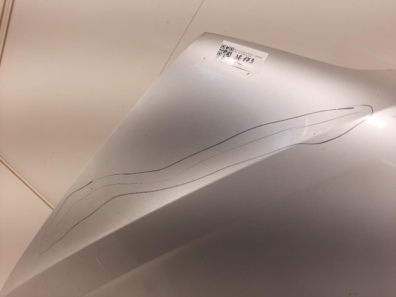 Cofano ANT 41617121102 Bmw X5 E53 2000